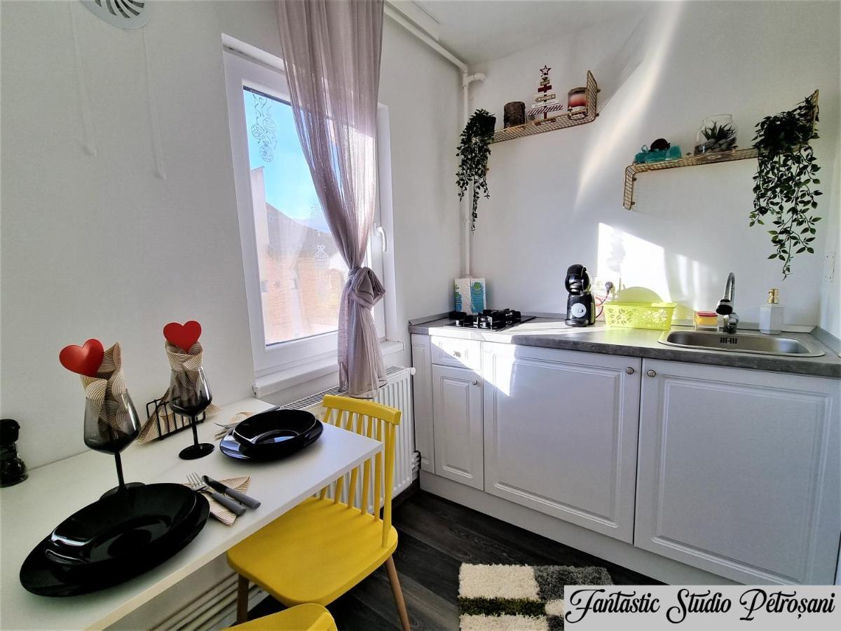 ~Fantastic Studio Petrosani~ Apartamento Exterior foto