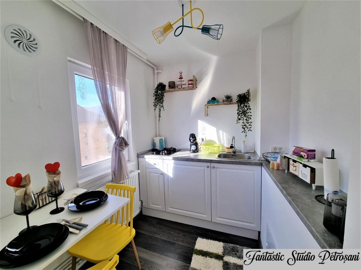 ~Fantastic Studio Petrosani~ Apartamento Exterior foto
